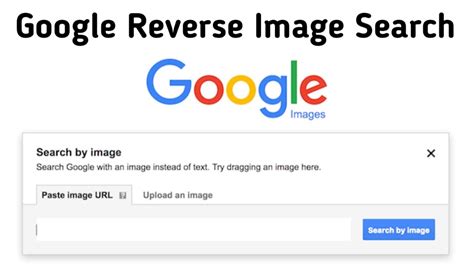 fake google search creator